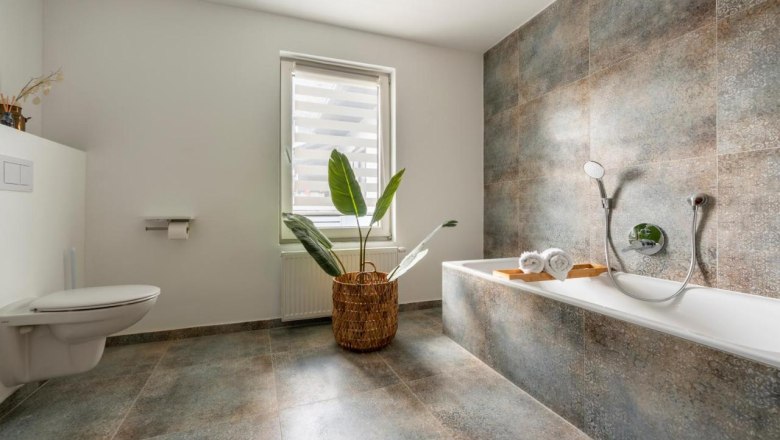 Modernes Badezimmer mit Badewanne, Pflanze und Fenster.