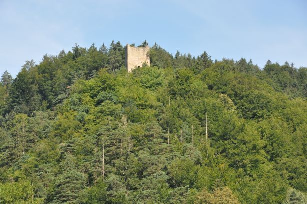 Ruine Freyenstein