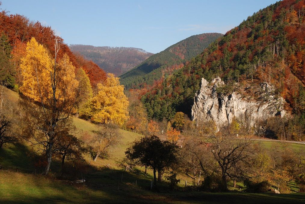 Der Wienerwald