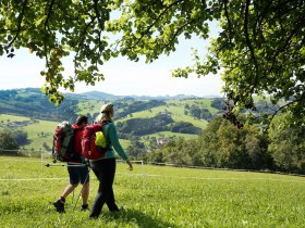 Wanderung &uuml;ber die Wiese, &copy; weinfranz.at
