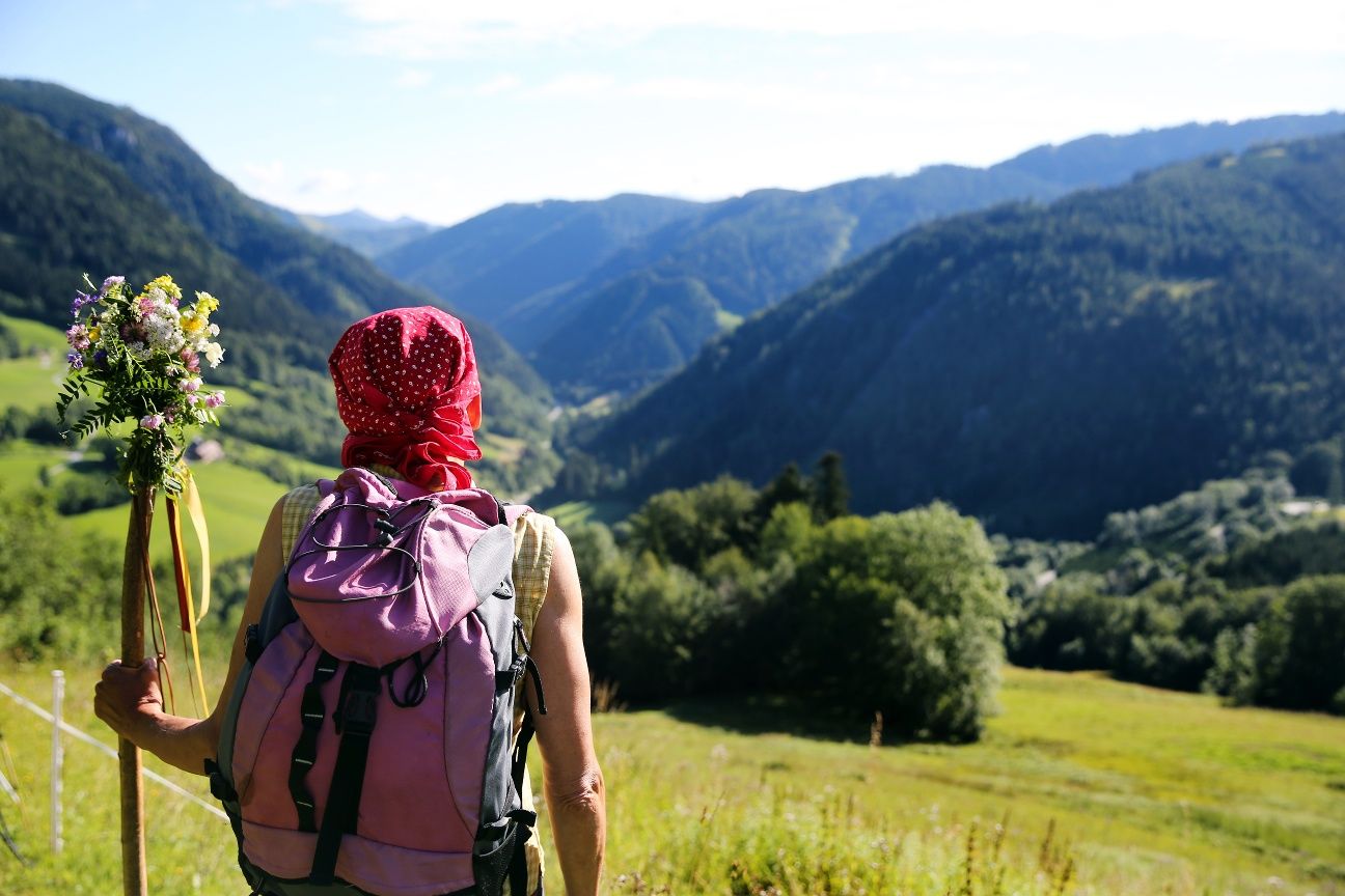 Blick ins Türnitztal