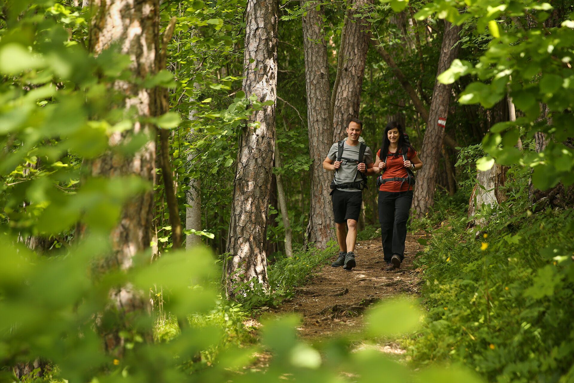Zwei Wanderer genießen die frische Bergluft und die üppige grüne Landschaft auf ihrem Weg durch den Wald. Umgeben von hohen Bäumen und dem sanften Licht der Sonne, erleben sie die Ruhe und Schönheit der Natur, die die Via Sacra zu bieten hat.