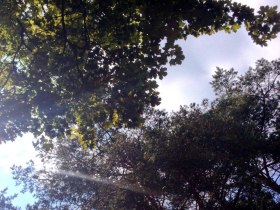 Sinne, &copy; Mostviertel Tourismus / zunder zwo