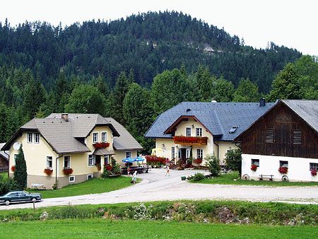Drei Häuser in ländlicher Umgebung mit Wald im Hintergrund.