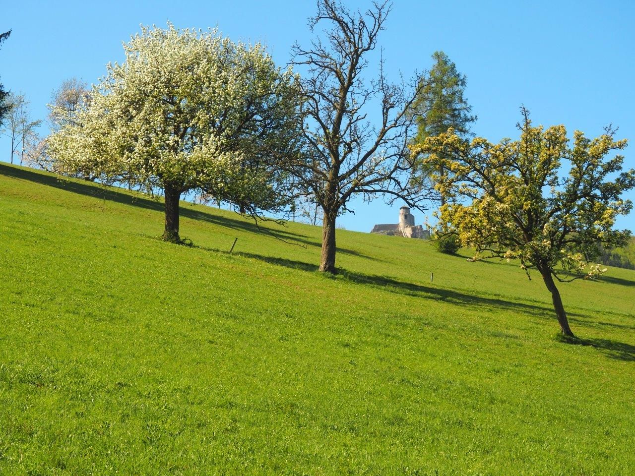 Mit Blick auf die Araburg