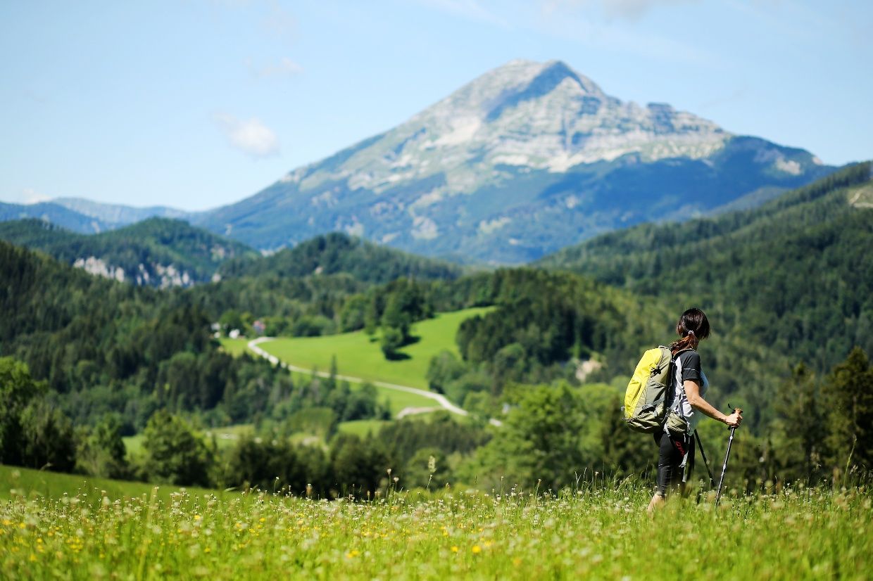 Blick auf den Ötscher