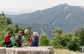Bergidylle, &copy; Mostviertel Tourismus / schwarz-koenig.at