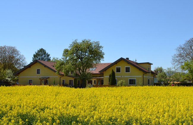 Hausansicht von vorne, © Privatzimmer Leeb Gelbes Haus mit rotem Dach hinter einem blühenden Rapsfeld.