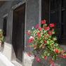Blumen an einem Fenster eines alten Hauses.