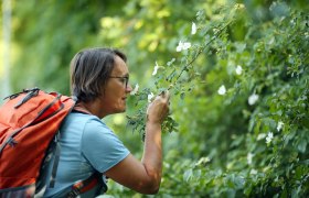 Pilgern auf der Via Sacra, &copy; Mostviertel - Via Sacra