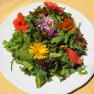 Ein Teller mit Wildkr&auml;utersalat und essbaren Bl&uuml;ten auf gelber Tischdecke.
