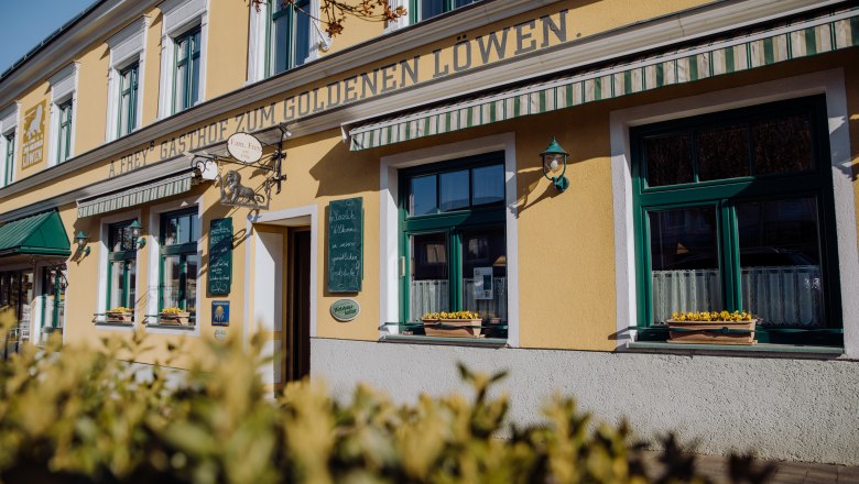 Gelber Gasthof 'Zum Goldenen Löwen' mit grünen Fensterläden und Blumenkästen.