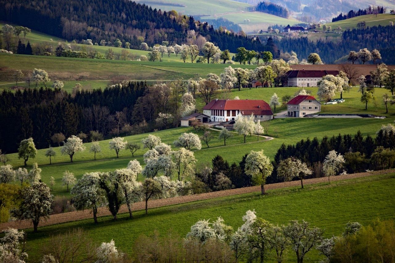 Fotopunkt Karl Lammerhuber Blick