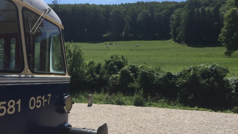 Blick vom Vorgarten Richtung Waggon, &copy; M. Schorn