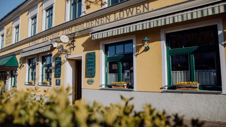Außenansicht eines gelben Gebäudes mit der Aufschrift 'Zum goldenen Löwen'. Fenster mit Blumenkästen und grünen Markisen.