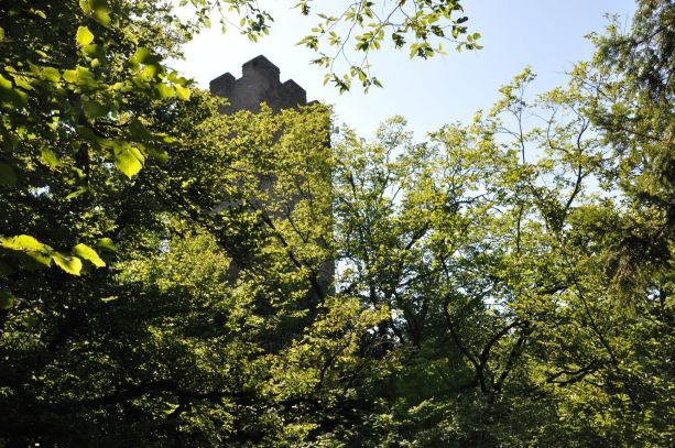 Ruine Freyenstein