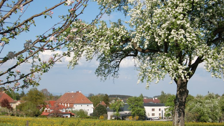 Bildungszentrum St. Benedikt, &copy; BZ St. Benedikt