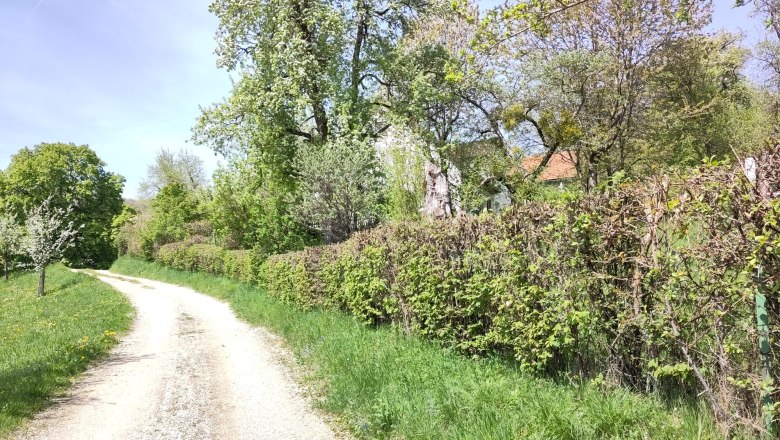 Naturparadies am Sonntagberg, &copy; Stiftner
