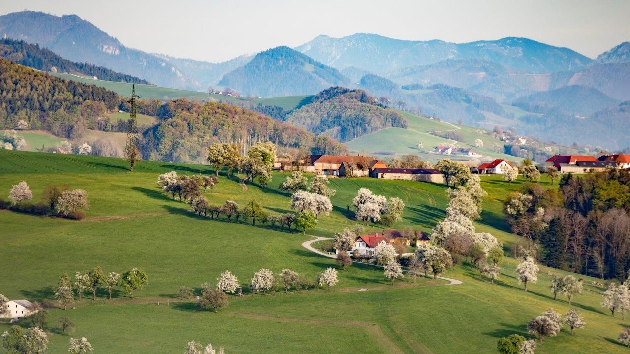 Fotopunkt Karl Lammerhuber Blick