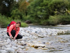 Rast an der Pielach, &copy; weinfranz.at
