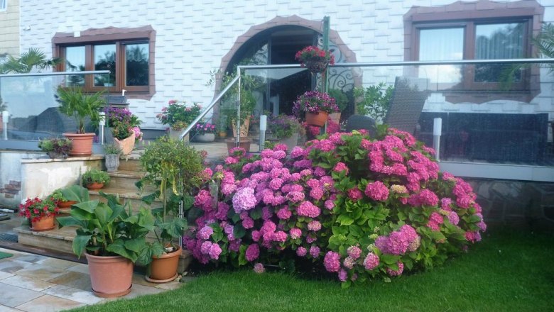 Haus Regina, © Haus Regina