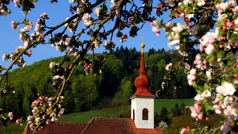 Kirche in St. Veit/G&ouml;lsen mit bl&uuml;henden Zweigen im Vordergrund.