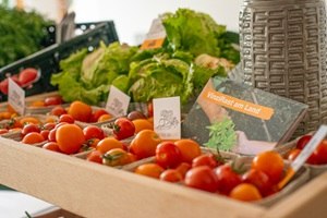 Gem&uuml;se, &copy; Thomas Vostandlechner