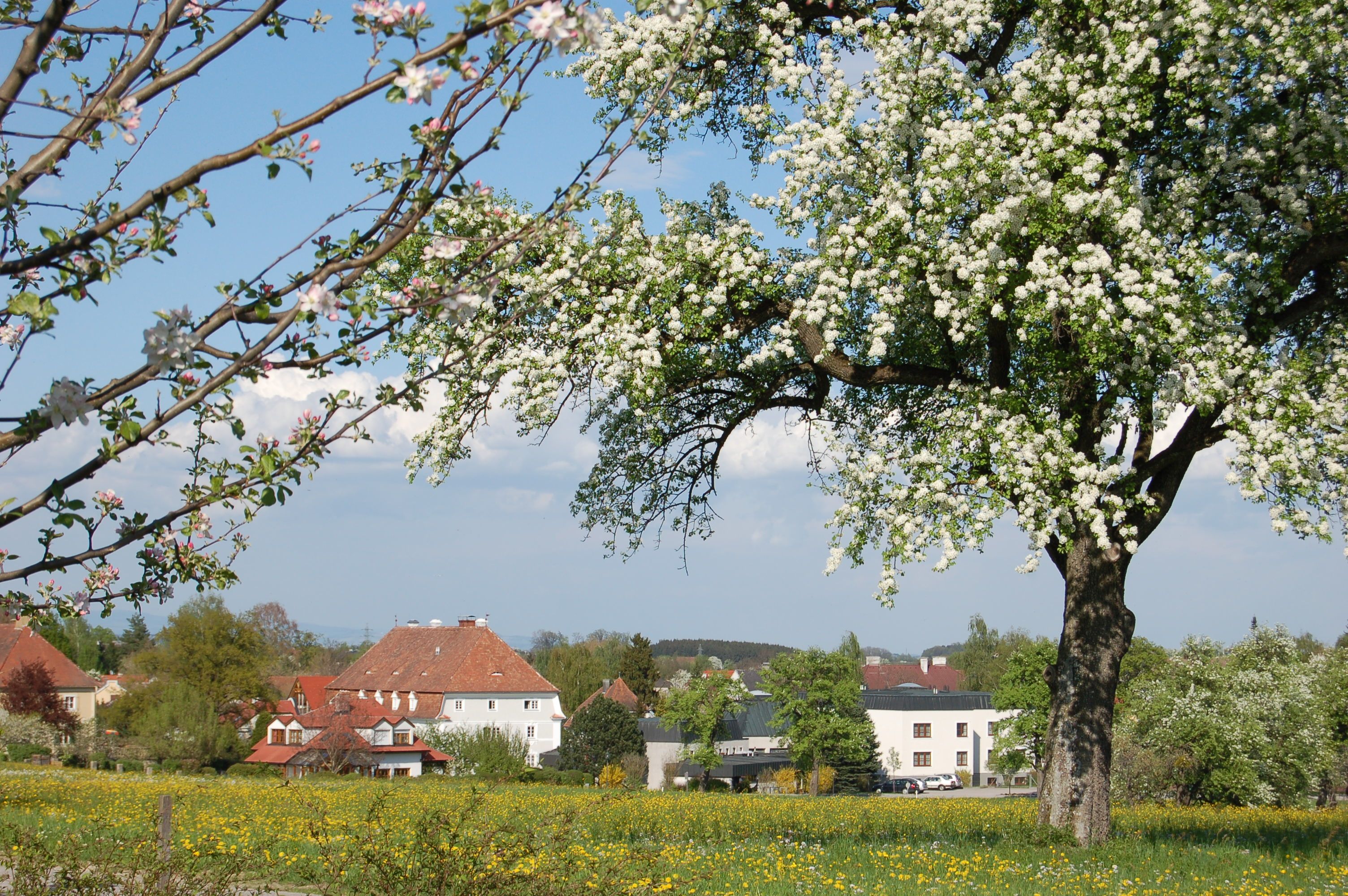 Bildungszentrum St. Benedikt
