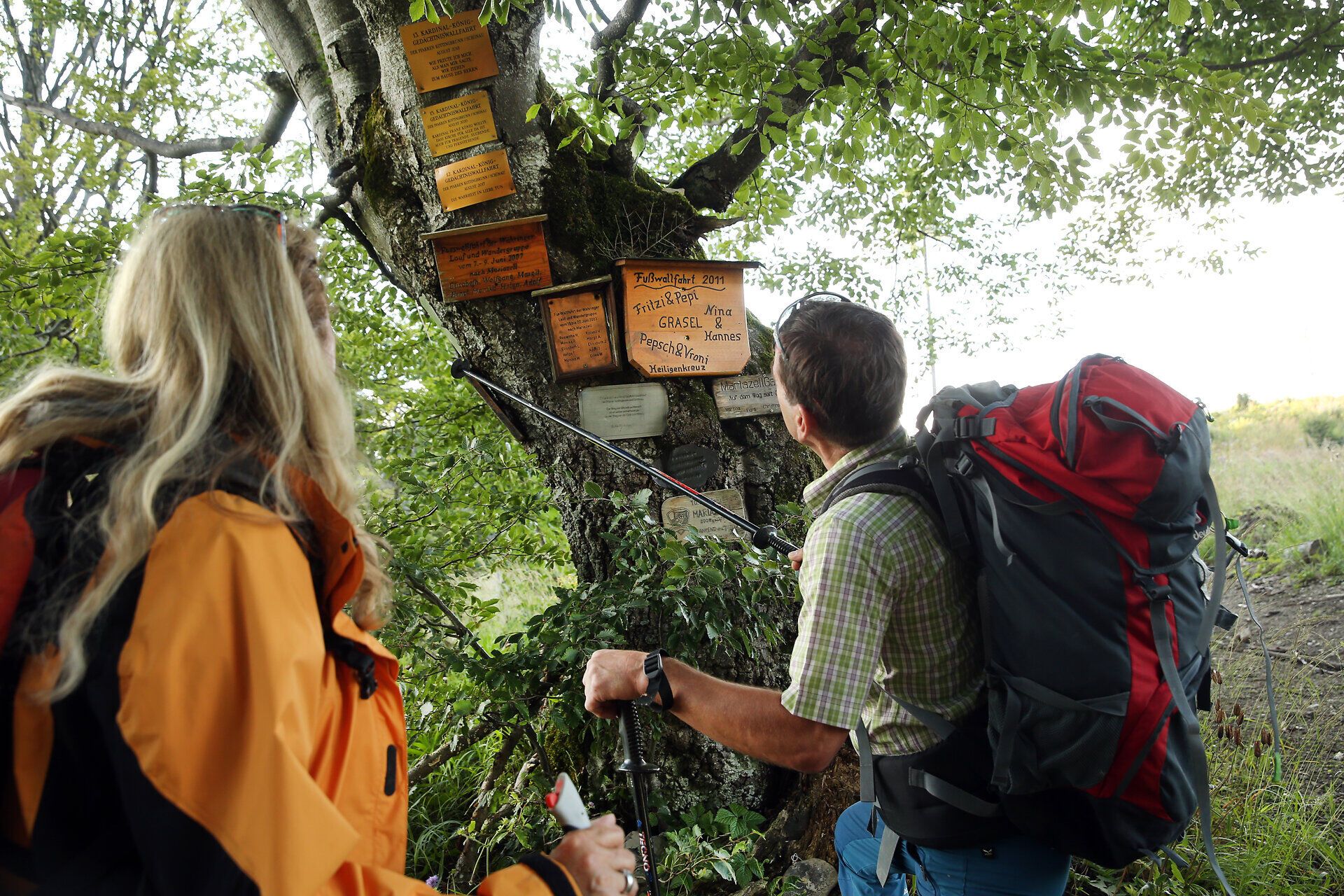 Zwei Wanderer stehen fasziniert vor einem informativen Schild, das die Schönheit des Pilgerweges beschreibt. Umgeben von üppigem Grün und dem sanften Licht der Abendsonne, spüren sie die Ruhe und Spiritualität dieses besonderen Ortes. Der Weg lädt ein, die Natur zu genießen und sich auf eine besinnliche Reise zu begeben.