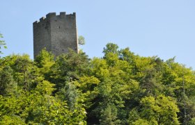 Ruine Freyenstein, &copy; Marktgemeinde Neustadtl an der Donau