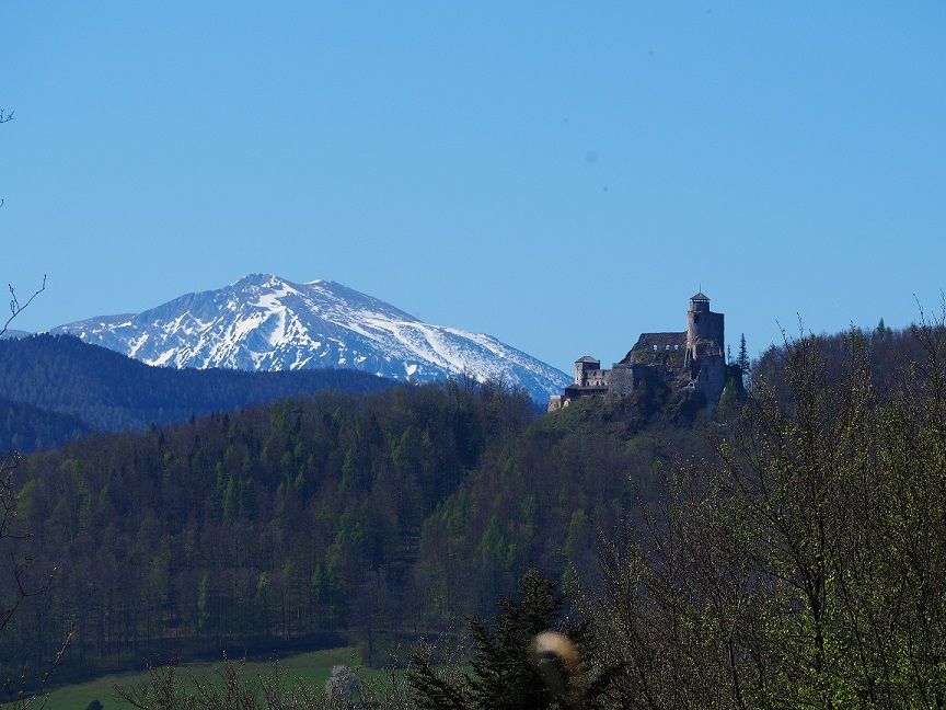 Blick auf die Araburg und den Schneeberg im Frühling