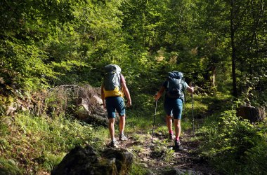 Am O&Ouml; Mariazellerweg wandern, &copy; weinfranz.at