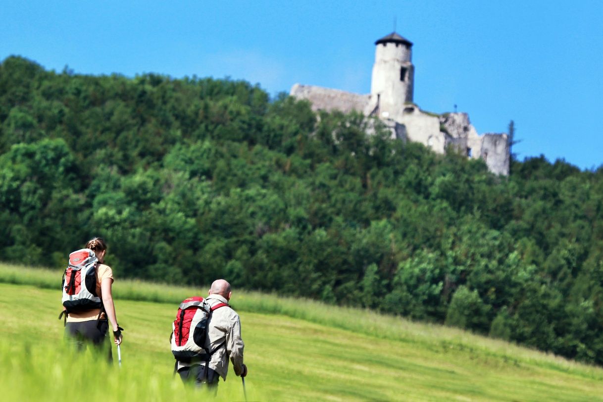 Weg zur Araburg
