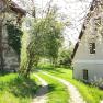 Ein l&auml;ndlicher Weg zwischen zwei H&auml;usern, umgeben von bl&uuml;henden B&auml;umen und gr&uuml;nem Gras.