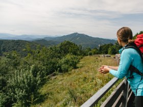 Ausblick Wiener Wallfahrerweg, &copy; Mostviertel Tourismus / schwarz-koenig.at